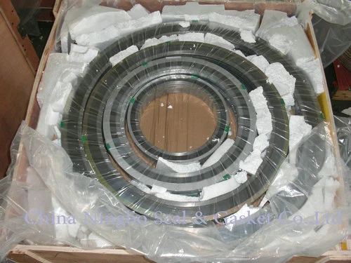 Flexible Graphite and Stainless Steel ASME API Spiral Wound Gasket